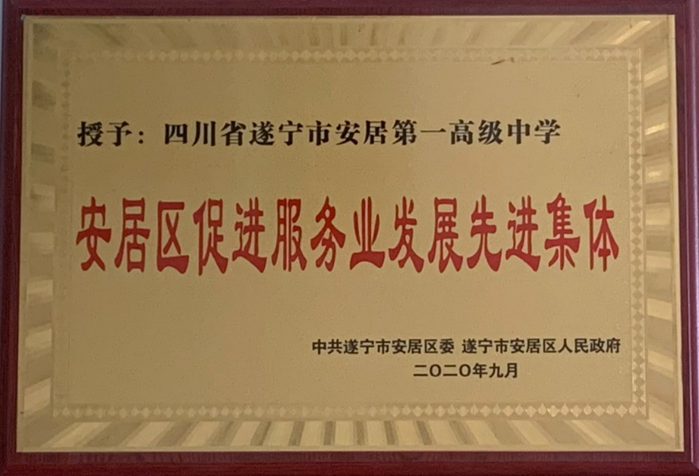 安居区促进服务业发展先进集体.png